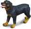 Attēls no Figurka Collecta Pies rasy Rottweiler (004-88189)