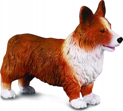 Picture of Figurka Collecta PIES WELSH CORGI (M)