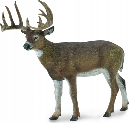 Picture of Figurka Collecta White-Tailed Deer