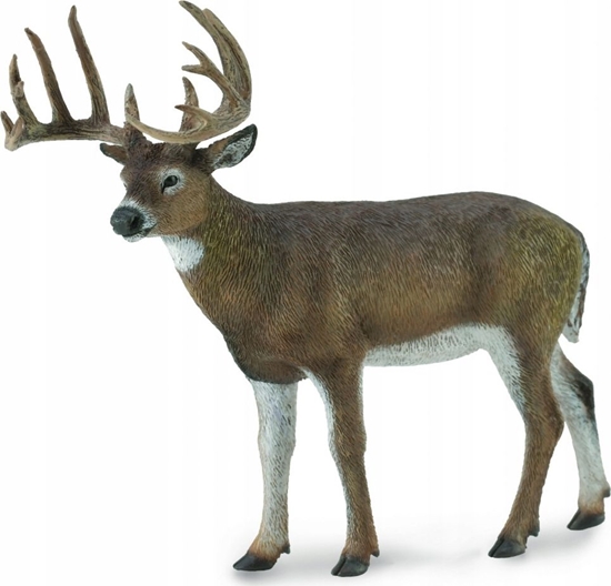 Изображение Figurka Collecta White-Tailed Deer