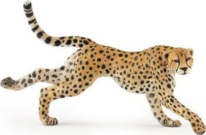 Attēls no Figurka Papo Gepard grzywiasty biegnący (401016)
