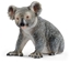 Изображение Figurka Schleich Miś koala (GXP-622497)