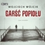 Изображение Garść popiołu audiobook 2CD