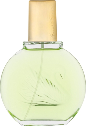 Attēls no Gloria Vanderbilt Jardin a New York EDP 100 ml