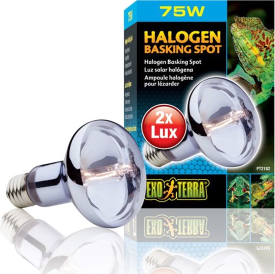 Picture of Hagen EXOTERRA ŻARÓWKA HALOGEN SPOT 75W