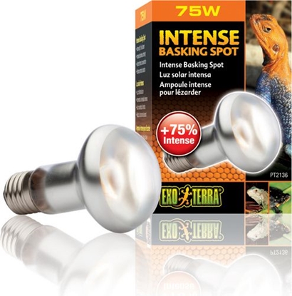 Изображение Hagen EXOTERRA ŻARÓWKA INTENSE SPOT 75W