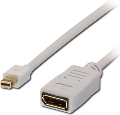 Изображение Kabel Lindy DisplayPort Mini - DisplayPort 1.5m biały