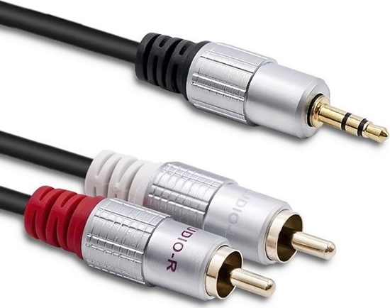 Picture of Kabel Qoltec Jack 3.5mm - RCA (Cinch) x2 2m czarny (1_789341)