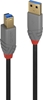 Picture of Lindy 0.5m USB 3.2 Type A to B Cable, Anthra Line