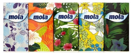 Изображение Mola Chusteczki higieniczne Tropical 10x10 szt