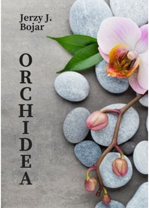 Изображение Orchidea