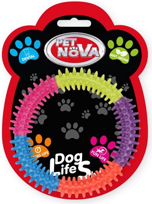 Picture of Pet Nova TPR Colourring XL 15cm