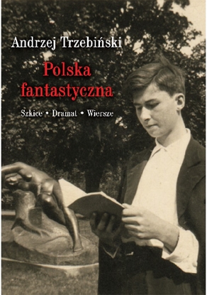 Picture of Polska fantastyczna Szkice Dramat Wiersze