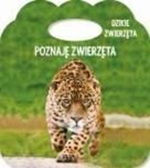 Picture of Poznaję zwierzęta. Ks. z uszkiem -Dzikie zwierzęta