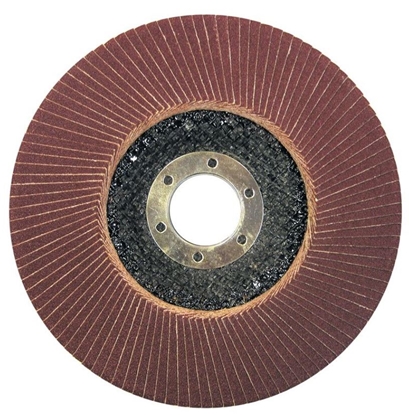 Изображение Pro-Line Ściernica listkowa talerzowa 125mm granulacja 60 - 44812