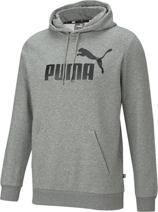 Picture of Puma Puma Essential Big Logo Hoody 586686-03 Szare L