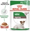 Attēls no Royal Canin Karma ROYAL CANIN SHN Mini Ageing 12+ 12x85g