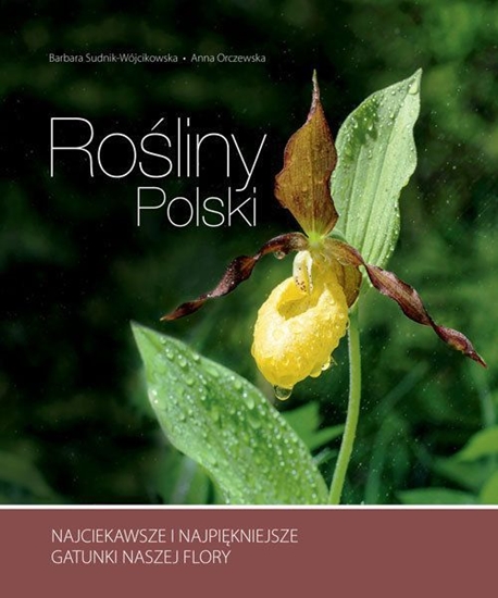 Picture of Rośliny Polski