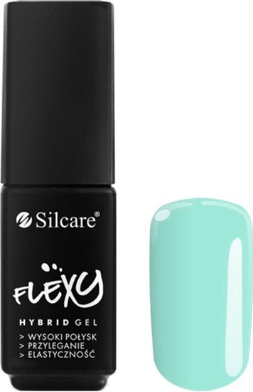 Изображение Silcare Lakier hybrydowy Flexy Hybrid Gel 117 4.5g