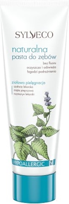 Picture of Sylveco Naturalna pasta do zębów bez fluoru 100ml