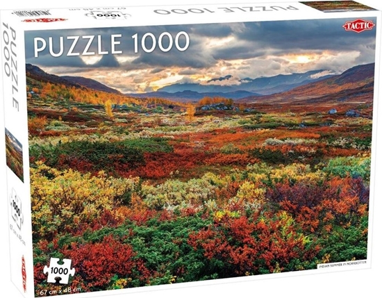 Изображение Tactic PROMO Puzzle 1000el Around the World, Northern Stars: Indian Summer in Norrbotten TACTIC