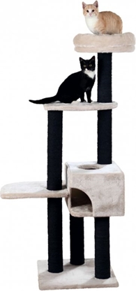 Изображение Trixie Drapak dla kota Nita, 147 cm, jasnoszary