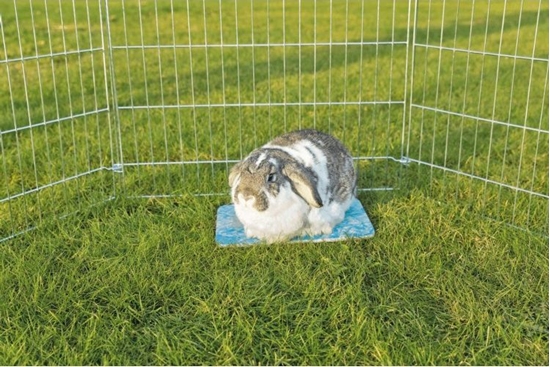 Picture of Trixie Płyta ceramiczna chłodząca królika świnki gryzoni uniwersalny