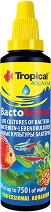 Picture of Tropical Bacto-Active (szczepy bakterii) butelka 30 ml