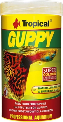 Изображение Tropical Tropical Guppy puszka 250ml