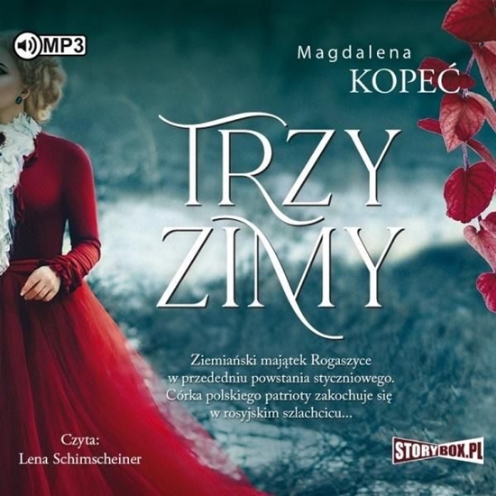 Изображение Trzy zimy audiobook