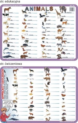 Picture of Visual System Podkładka ćwiczeniowa - Animals