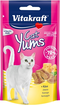 Attēls no Vitakraft KOT CAT YUMS SER 40g