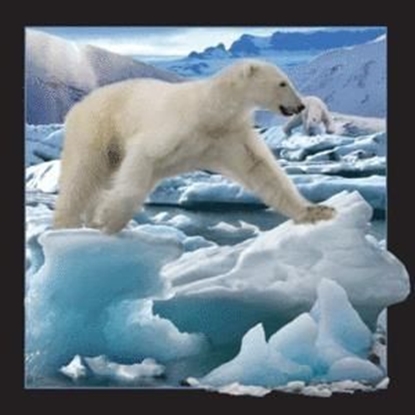 Attēls no Worth-Keeping Magnes 3D Niedźwiedź Polarny w skoku (182520)