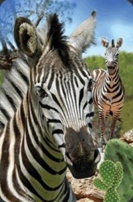 Изображение Worth-Keeping Mini kartka 3D Zebra (182693)