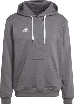 Picture of Adidas adidas Entrada 22 Sweat Hoodie HB0578 szary M