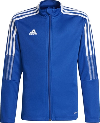 Attēls no Adidas Niebieski 116cm