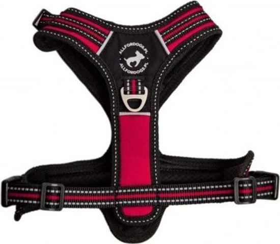 Изображение All For Dogs ALL FOR DOGS SZELKI 3x-SPORT CZERW. XS