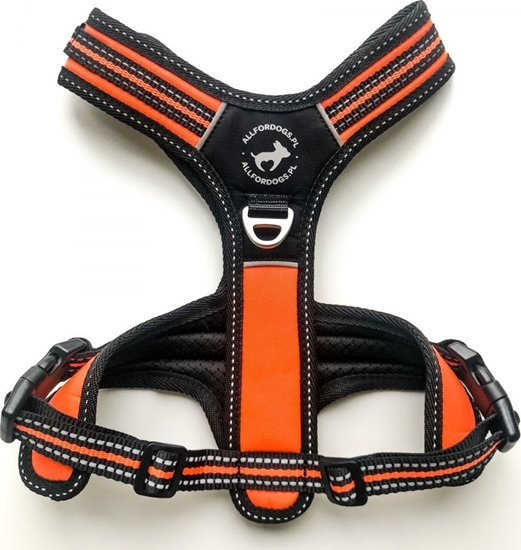 Picture of All For Dogs ALL FOR DOGS SZELKI 3x-SPORT POMARAŃ. XS