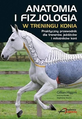 Изображение Anatomia i fizjologia w treningu konia