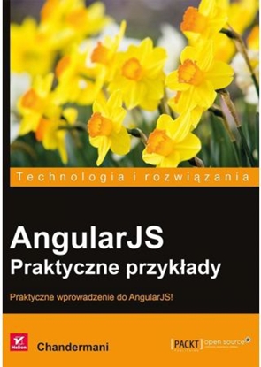 Изображение AngularJS. Praktyczne przykłady