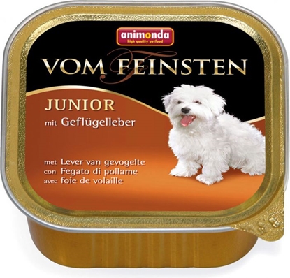 Picture of Animonda vom Feinsten Junior Wątróbka drobiowa 150g