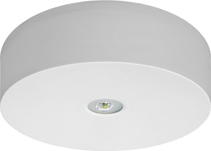 Attēls no AWEX Oprawa awaryjna AXN IP65 ECO LED 3W 310lm 1h jednozadaniowa biała (AXNO/3W/ESE/X/WH)