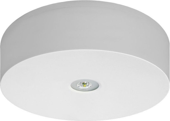 Picture of AWEX Oprawa awaryjna AXN IP65 ECO LED 3W 310lm 1h jednozadaniowa biała (AXNO/3W/ESE/X/WH)