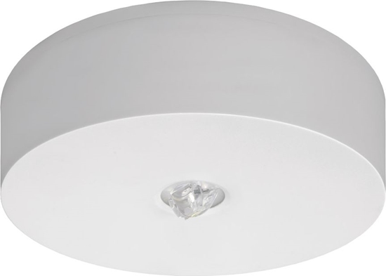 Picture of AWEX Oprawa awaryjna AXN IP65 ECO LED 3W 315lm (opt. koryt.) 1h jednozadaniowa biała AXNC/3W/ESE/X/WH - AXNC/3W/ESE/X/WH