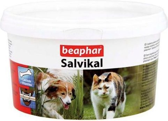 Picture of Beaphar SALVIKAL 250g