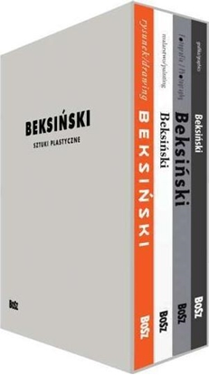 Picture of Beksiński. Sztuki plastyczne