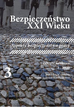 Picture of Bezpieczeństwo XXI Wieku