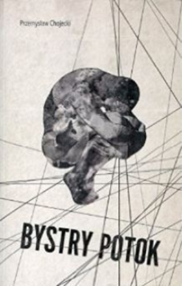 Изображение Bystry potok