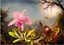 Изображение Bluebird Puzzle Puzzle 1000 Orchidea Cattleya i trzy kolibry