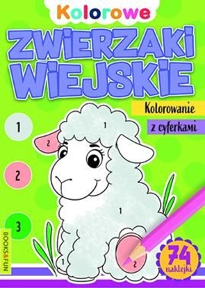 Picture of Books And Fun Zwierzaki wiejskie. Kolorowanie z cyferkami